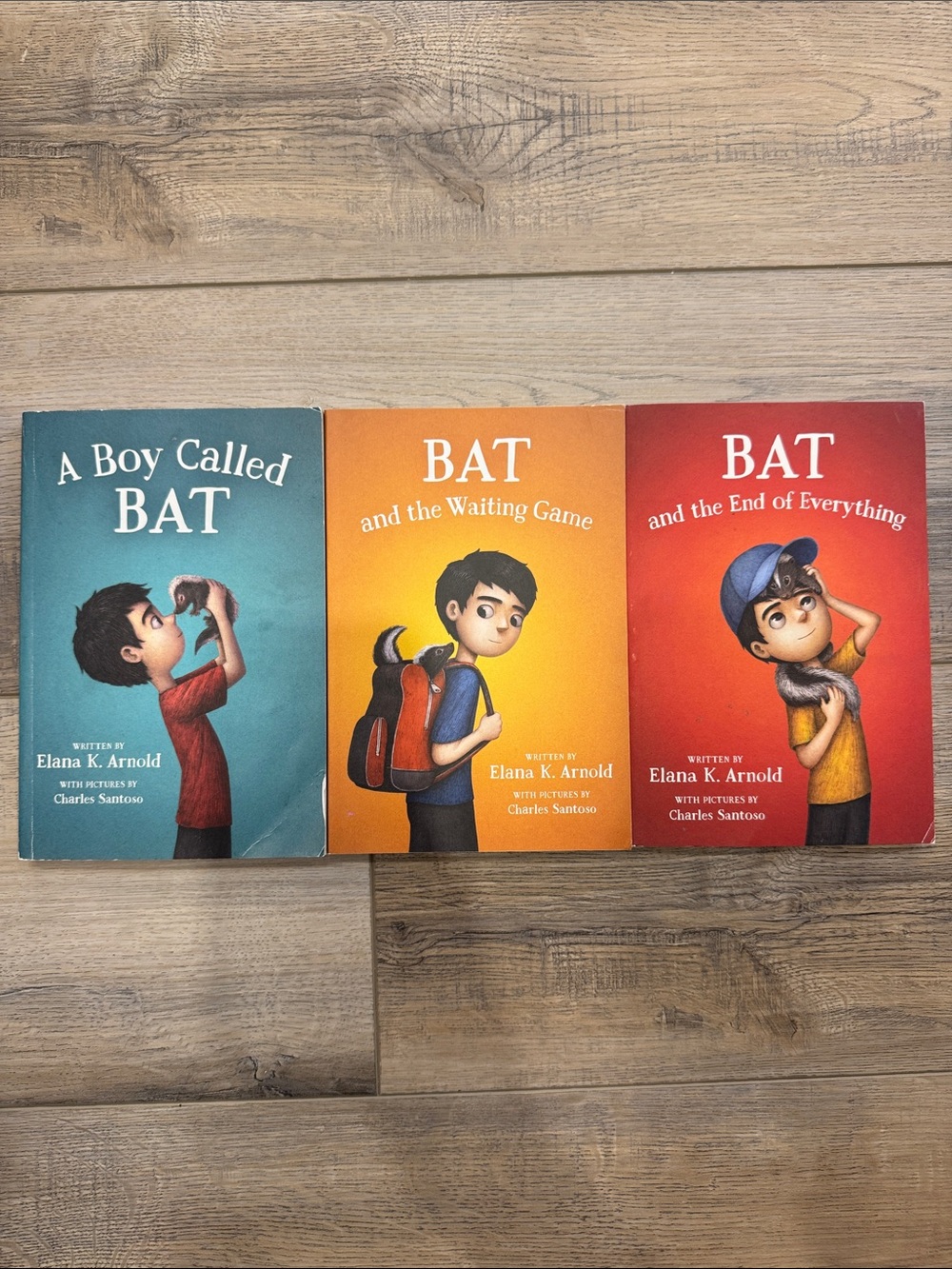 3 books-Boy Called Bat-Elana K Arnold